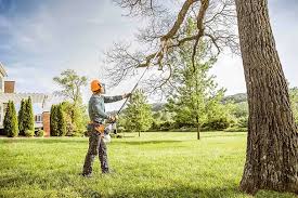 Lawn Maintenance Plans in Baldwyn, MS
